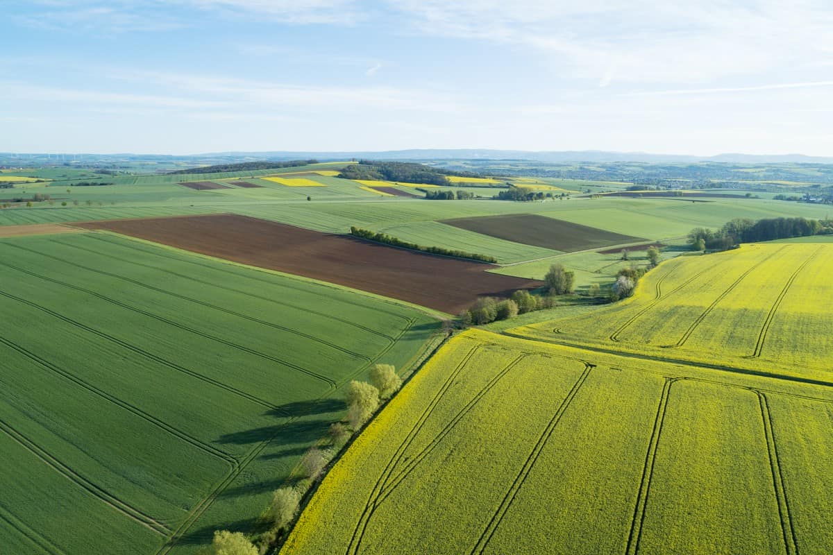 tereny rolnicze